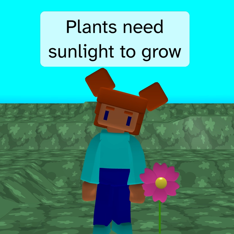 Plants need sunlight A girl is stood next to a flower and says "plants need sunlight to grow"