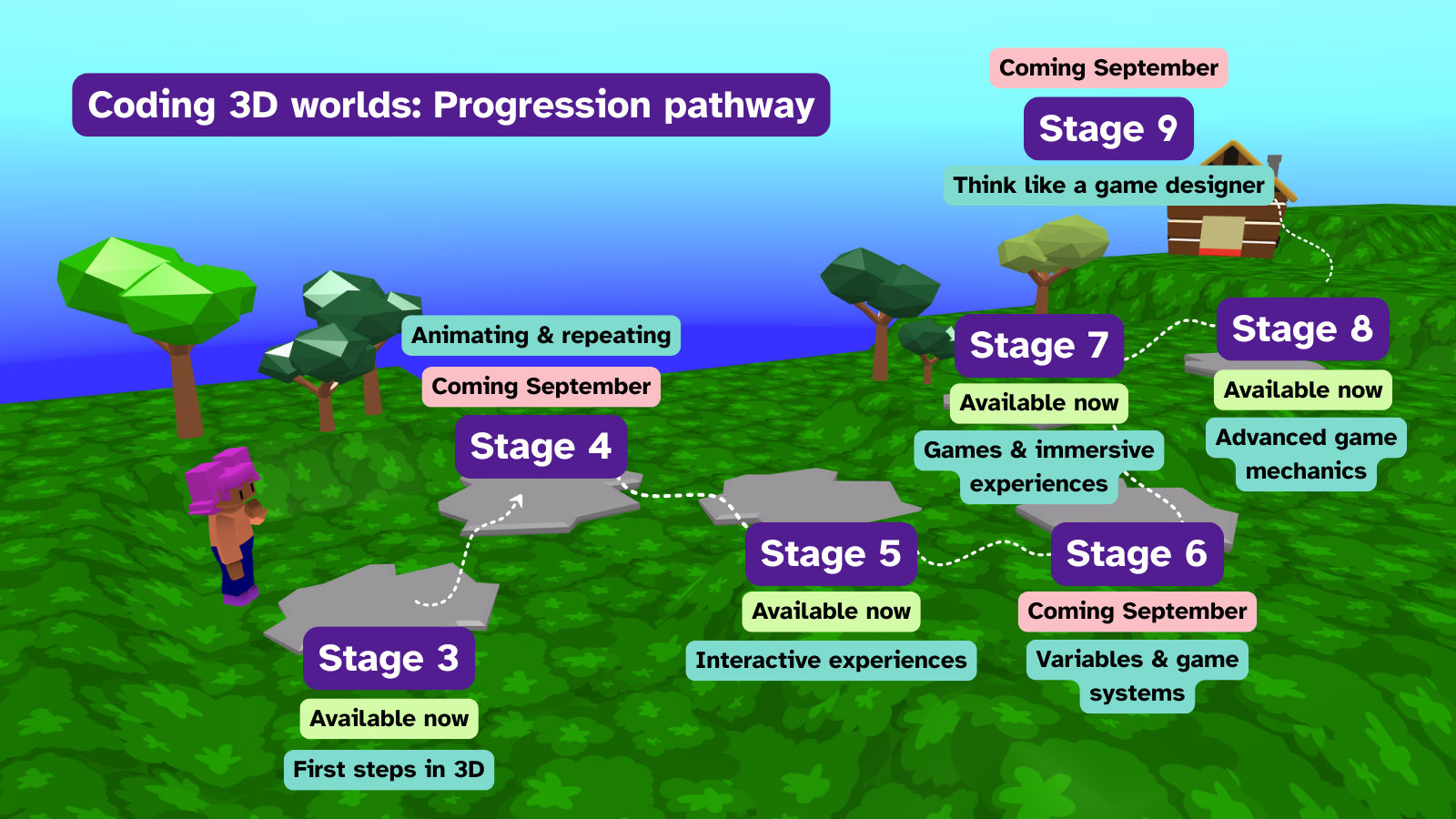 Pathway showing the topics covered in each stage.