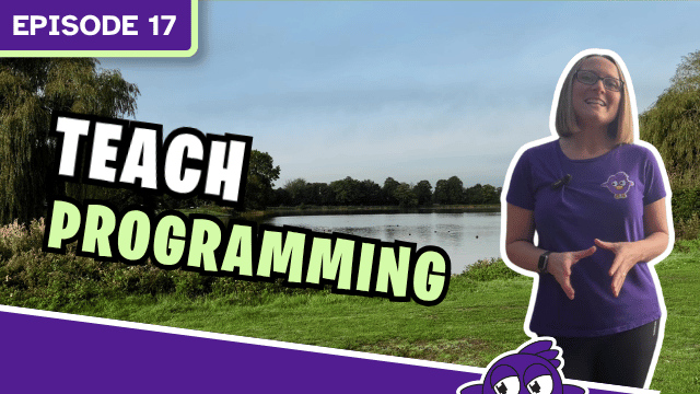 Episode 17 teach programming