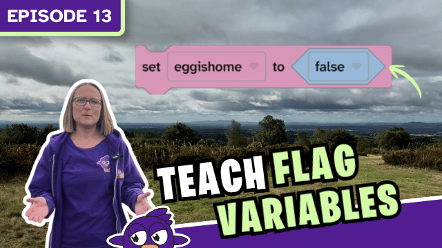 Episode 13 how to teach flag variables.