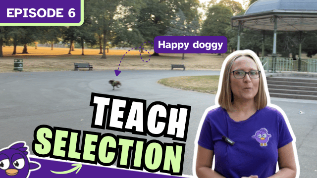 Episode 6 teach selection.